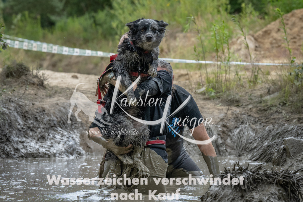 1434_ZZ92986 | kk-dogfotos