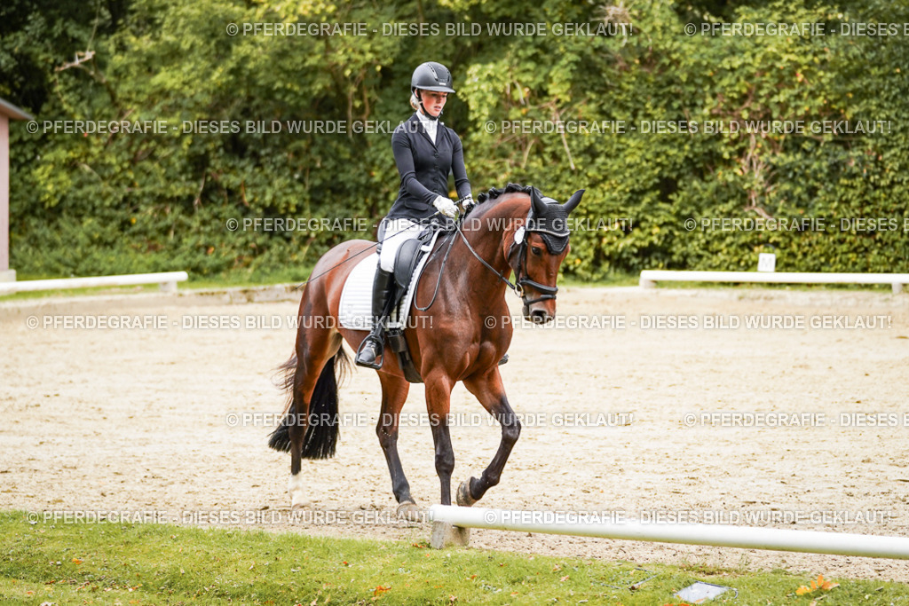 DSC00392 | Pferdegrafie