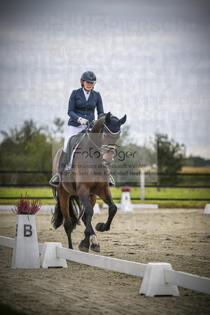 DOS_1142 | Entdecke hochwertige Reitturnierfotos von Foto Oger. Professionell, emotional und authentisch – jetzt Lieblingsmomente im Shop bestellen.Deutschlandweite Turnierfotografie. - Realisiert mit Pictrs.com