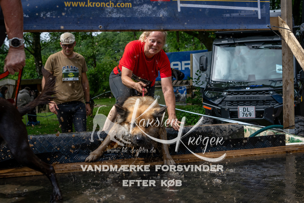 1114_ZZ93239 | kk-dogfotos