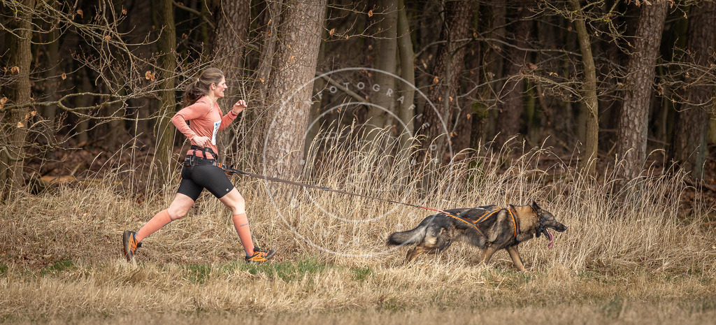 DV3A4190 | Hundefotografie, Tierfotograf, Pfotenfotografie, Fotoshooting Hund, Hunde Portrait, Hundesport, Hundeportraits, Heideshooting, Hunde, Sportfotograf, Hundefotograf, Turnierhundsport, THS,  - Realisiert mit Pictrs.com