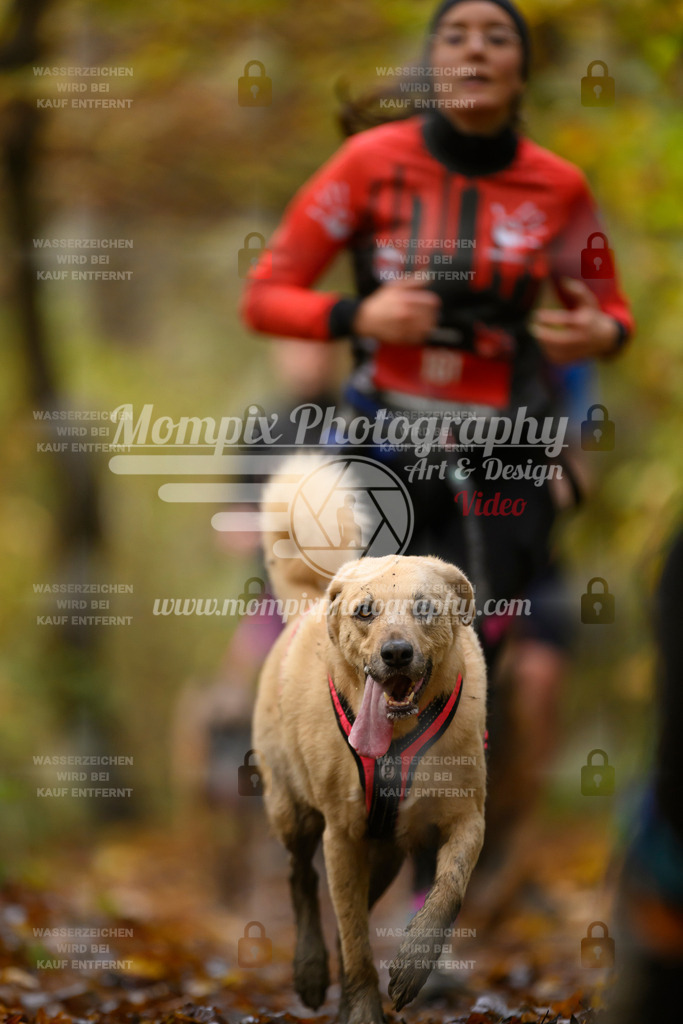 MompixPhotography_CD7S_DI_CCL-156 | mompixphotography