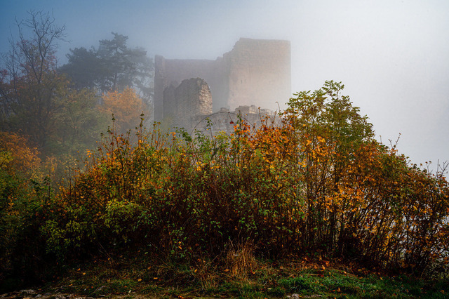 Ruine der Lobdeburg im Nebel | Professionelle Natur- & Landschaftsfotos als Poster, auf Leinwand & viele mehr. Wähle aus einer Vielzahl an Formaten & Materialien Dein perfektes Bild. - Realisiert mit Pictrs.com