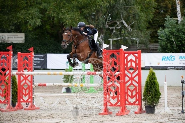 2B4A3505 | pixelfaenger - Realisiert mit Pictrs.com