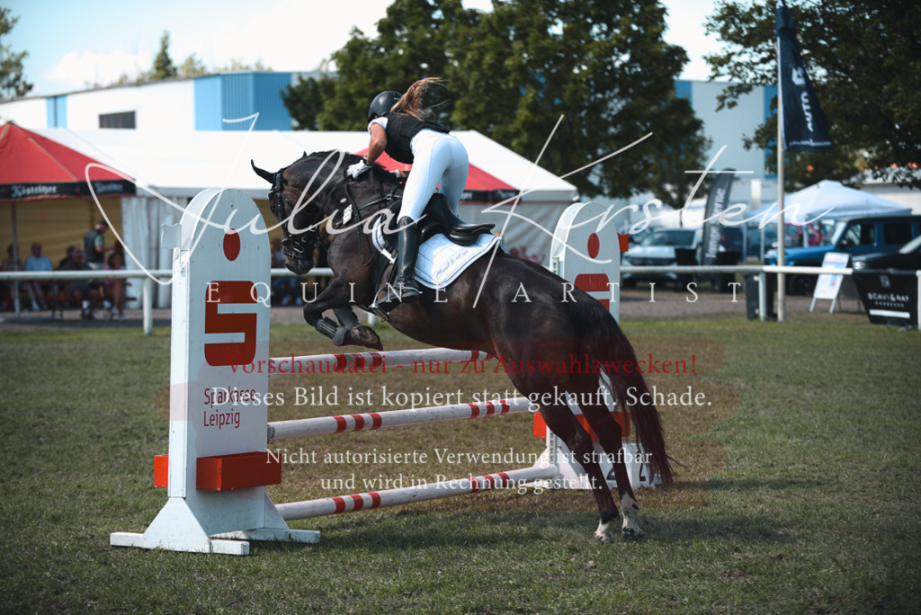 DSC_6962 | Pferde- und Turnierfotografie in Westsachsen. Pferdeportraits, Auftragszeichnungen und intuitive Kunst.