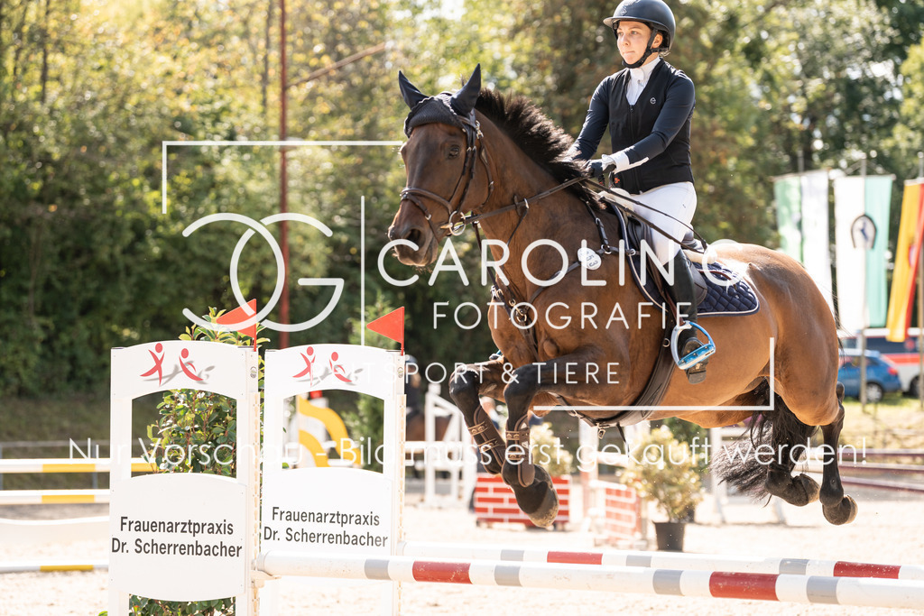 DSC02194 | Carolin Gieschke