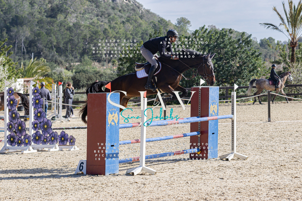 IMG_5263 | s-jay-photography - Realisiert mit Pictrs.com