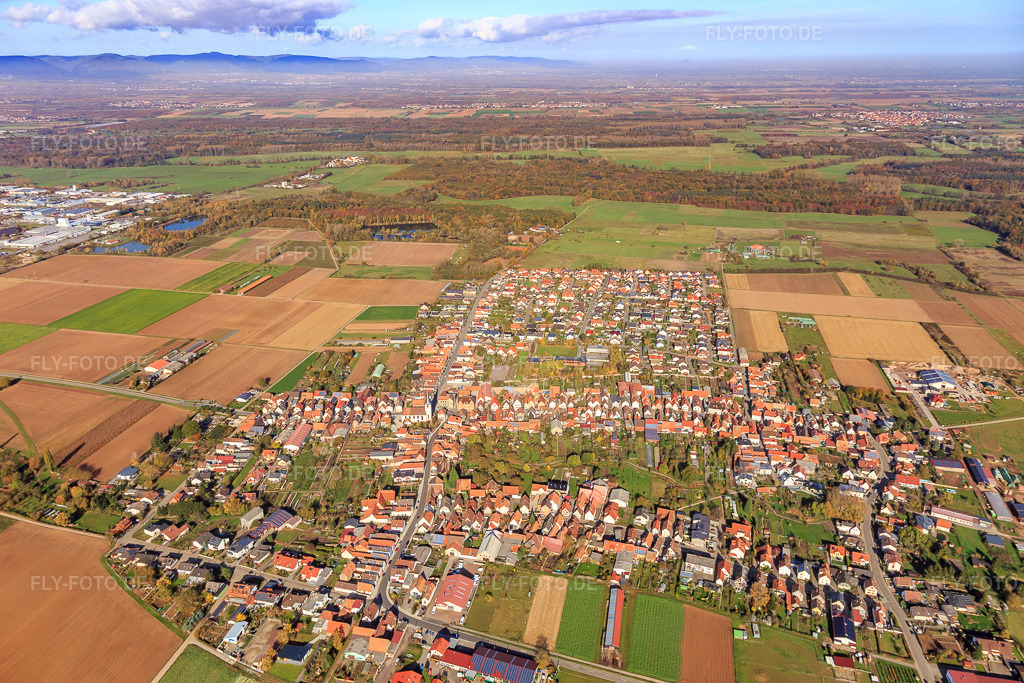 Luftbild: Dorfübersicht bis zu den Queichwiesen aus Süden in Ottersheim bei Landau im Bundesland Rheinland-Pfalz in Deutschland. Foto: IMG_104319.jpg vom 31.10.2017 durch Werner Riehm/FLY-FOTO.de