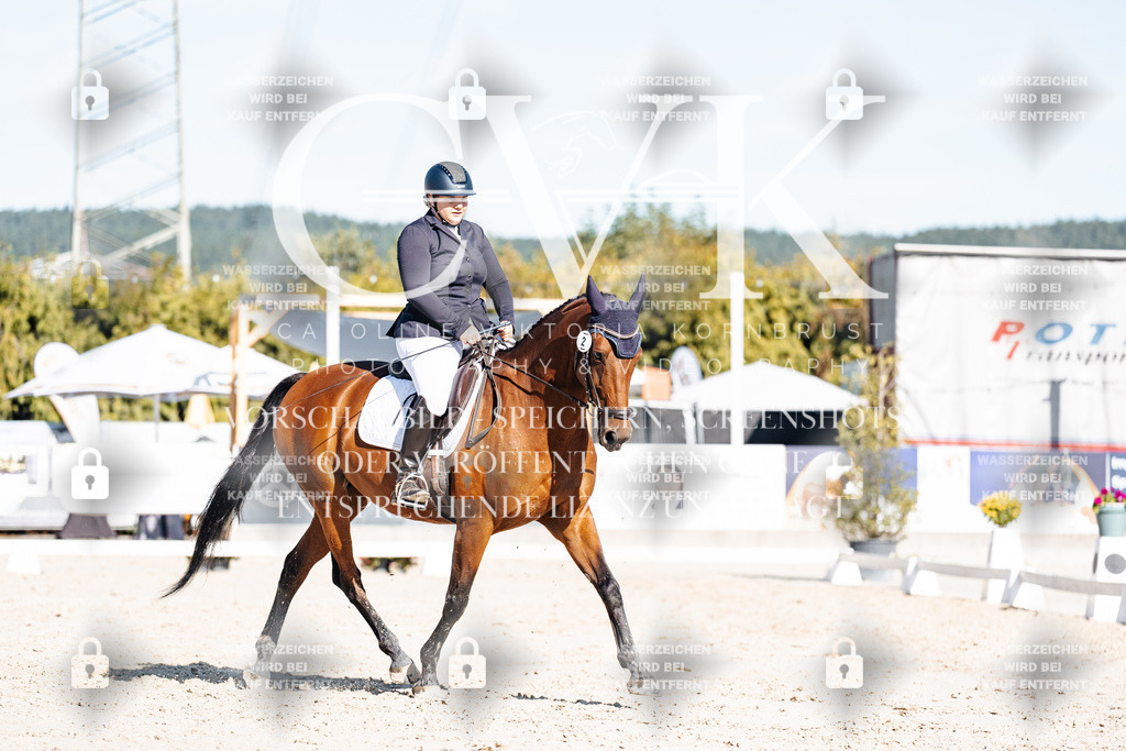 CK908013 | Turnierfotografie Pferdefotografie Trier Rheinland-Pfalz Pferdesport Reitsport Tierfotografie Sportfotografie Pferdevideo Pferdevideografie Equestrianvideography equestrianphotography  - Realisiert mit Pictrs.com