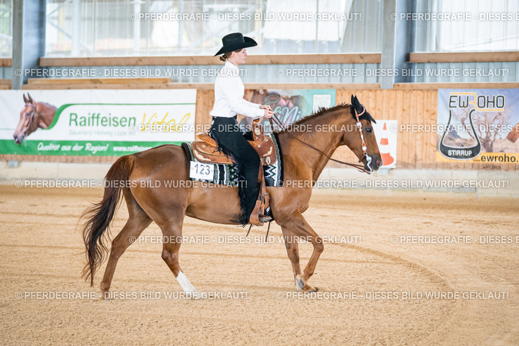 DSC01153 | Pferdegrafie