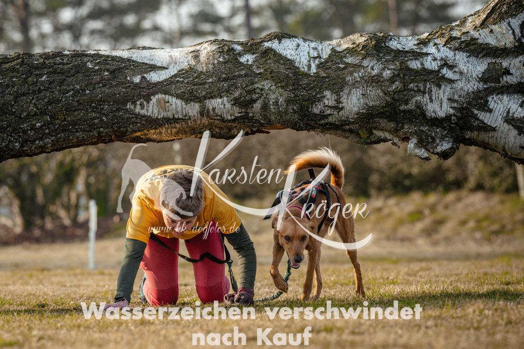 0846_ZZ95827 | kk-dogfotos