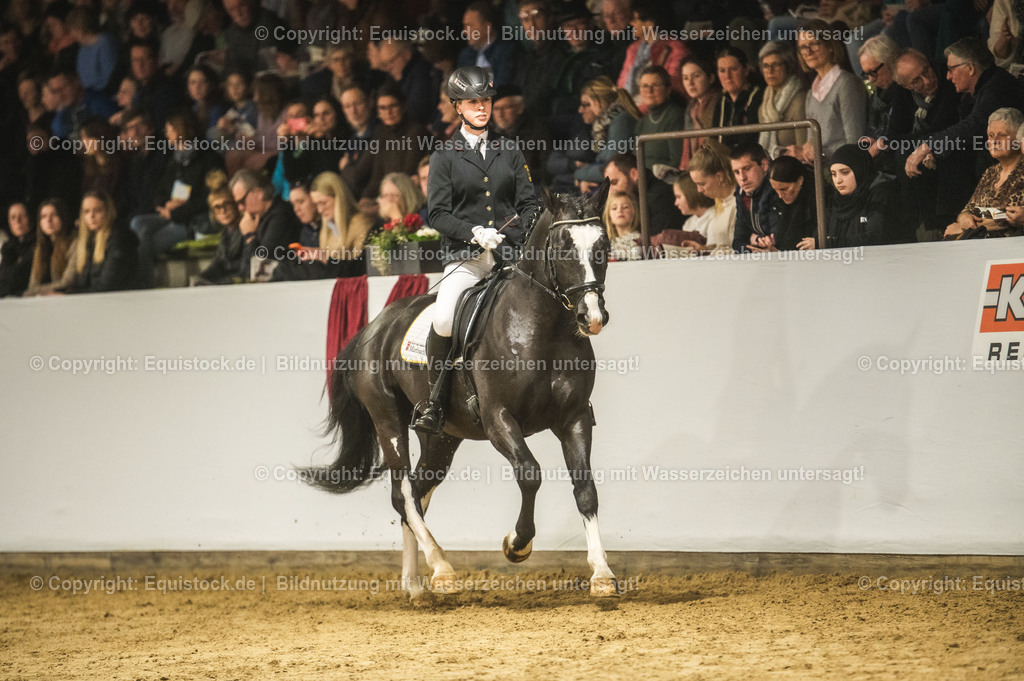 20240302_Hengstvorstellung_Marbach_TOMsPiC_0685 | equistock