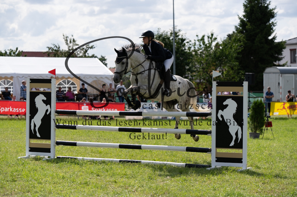 A7V04704 | Pferdefotograf