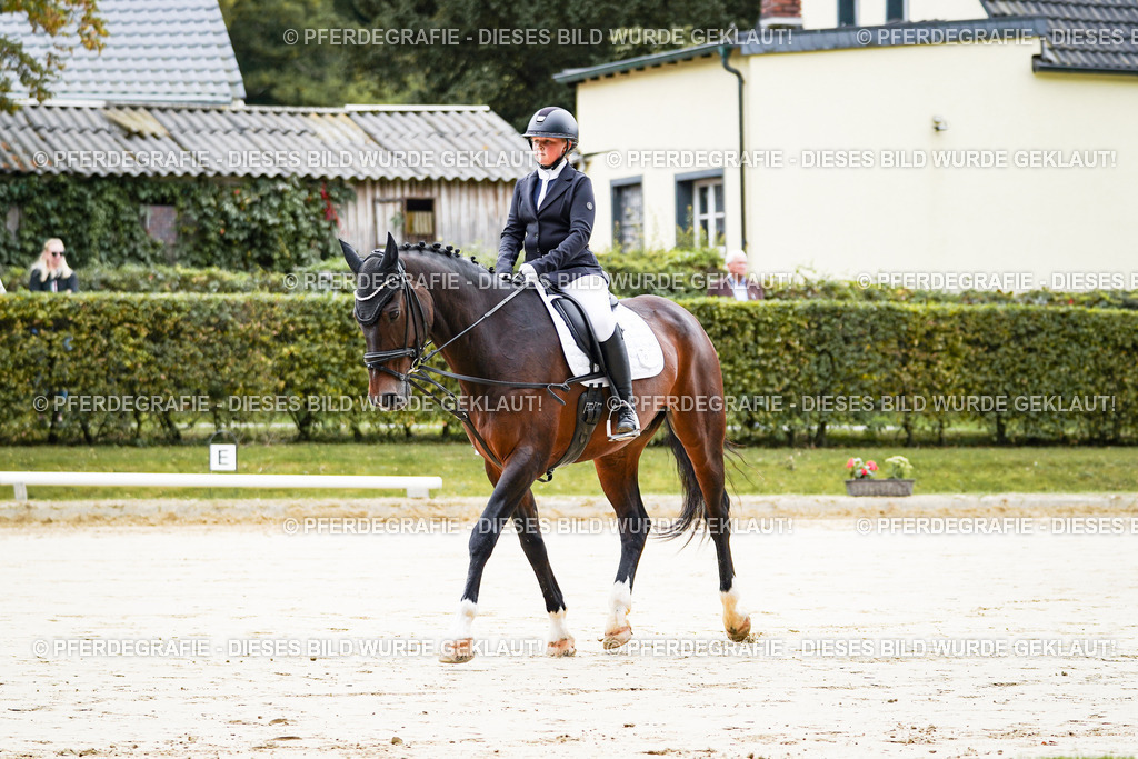 DSC04402 | Pferdegrafie