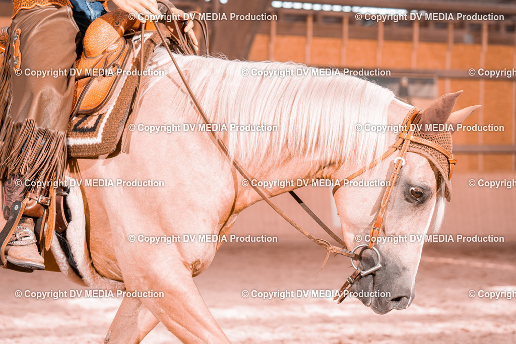 NE300612 | dv-media-shop - Realisiert mit Pictrs.com