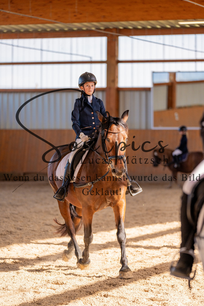 A7V02145 | Turnier/Reitfotograf