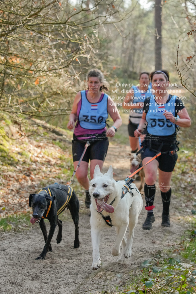 So_CC_short-163 | stephaniefillaphotographie - Realisiert mit Pictrs.com