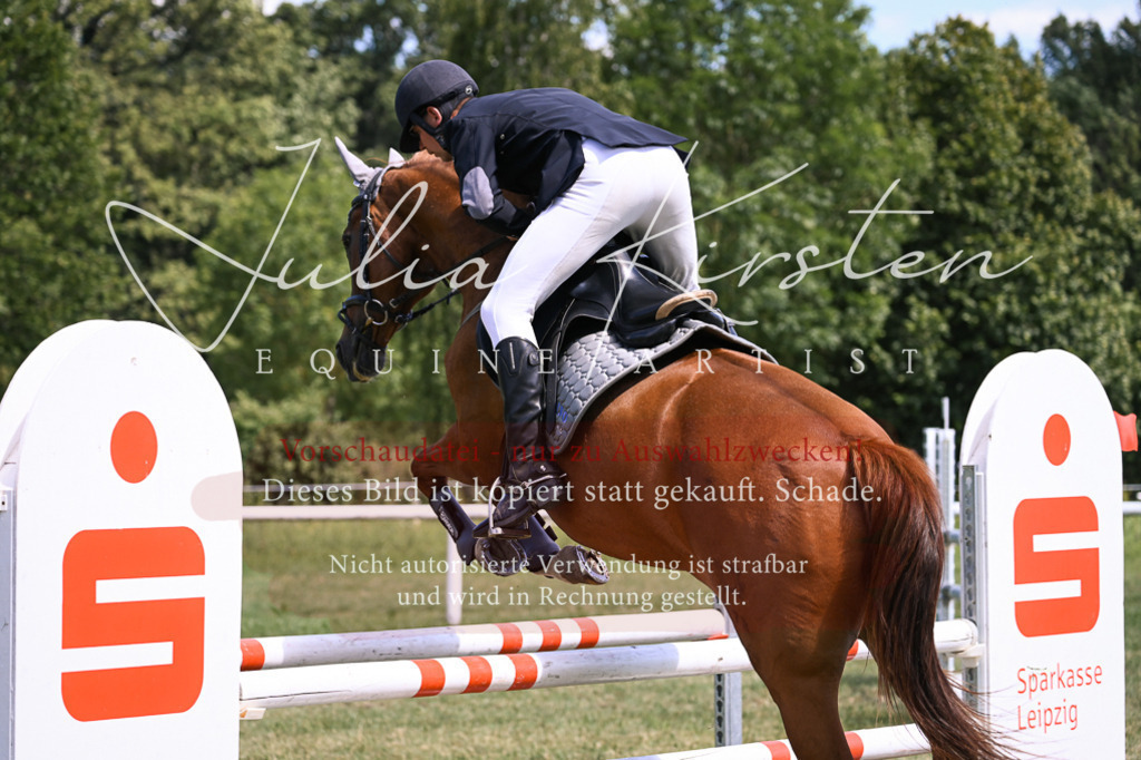 DSC_0378 | Pferde- und Turnierfotografie in Westsachsen. Pferdeportraits, Auftragszeichnungen und intuitive Kunst.