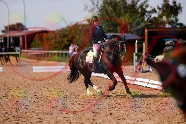 2026_10_03_Siefer-Hof_131850_Z81_66958836 | Professionelle Reitsport-, Turnier- und Eventfotografie von Robert Broda. Galerien mit ausgewählten und bearbeiteten Bildern direkt online ansehen und bestellen.