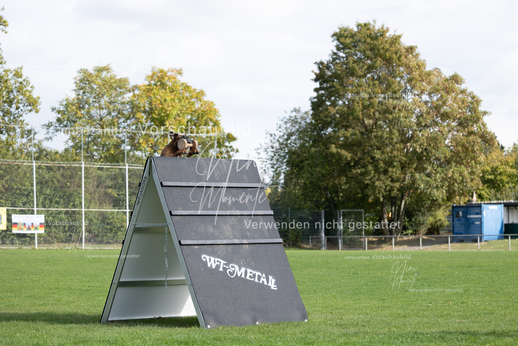 _16A6622 | Einzigartige Fotos von Hunden & Menschen –Actionfotos, Portraits, Vereinsaufnahmen & Paarshootings – authentisch, lebendig & mit Herz.