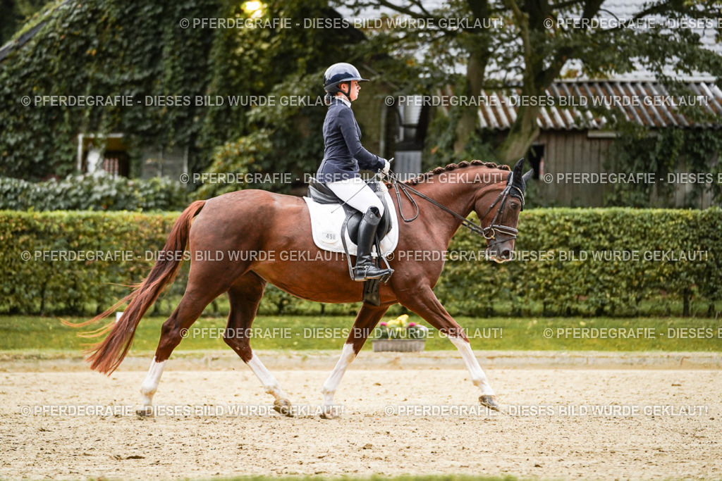 DSC06965 | Pferdegrafie