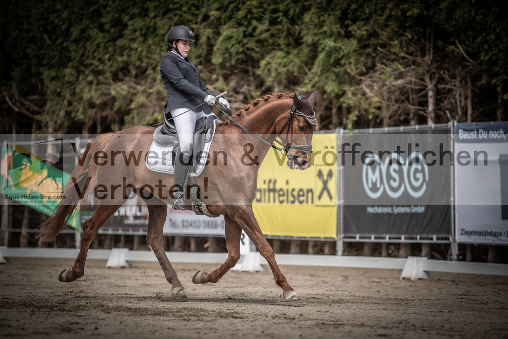 DSC_2860 | equestrian-live-com