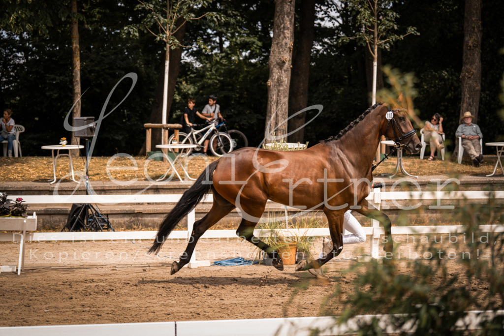 3.Fr00121 | Leoni Ertmer Photography - Realisiert mit Pictrs.com