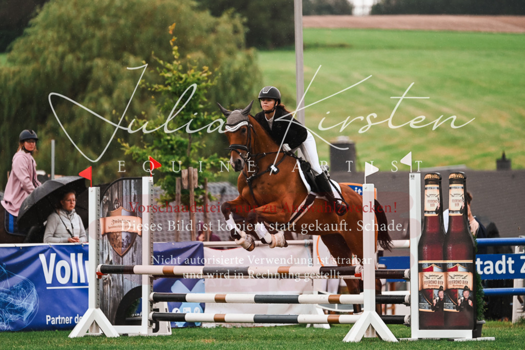 DSC_6641 | Pferde- und Turnierfotografie in Westsachsen. Pferdeportraits, Auftragszeichnungen und intuitive Kunst.