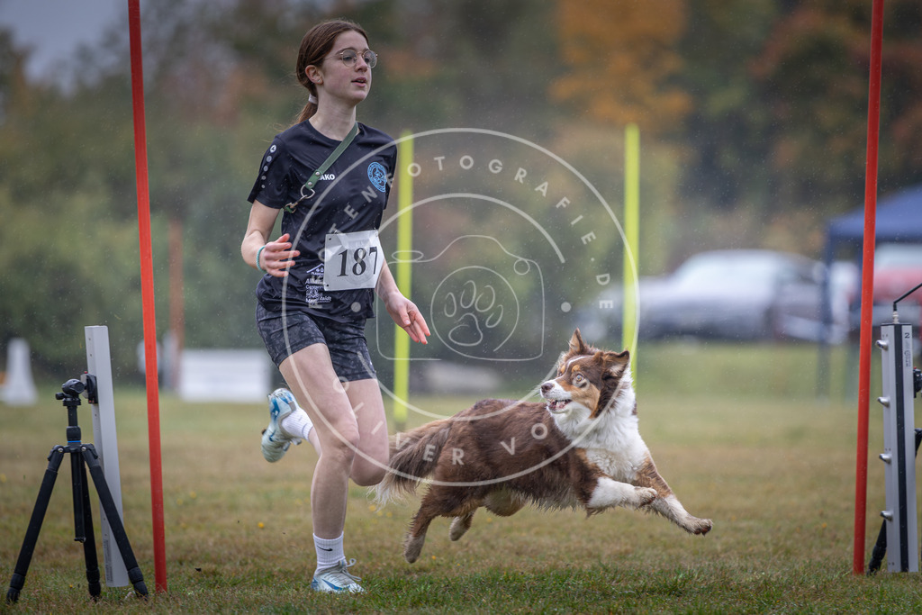 Pfotenfotografie_DV3A0165 | Hundefotografie, Tierfotograf, Pfotenfotografie, Fotoshooting Hund, Hunde Portrait, Hundesport, Hundeportraits, Heideshooting, Hunde, Sportfotograf, Hundefotograf, Turnierhundsport, THS,  - Realisiert mit Pictrs.com