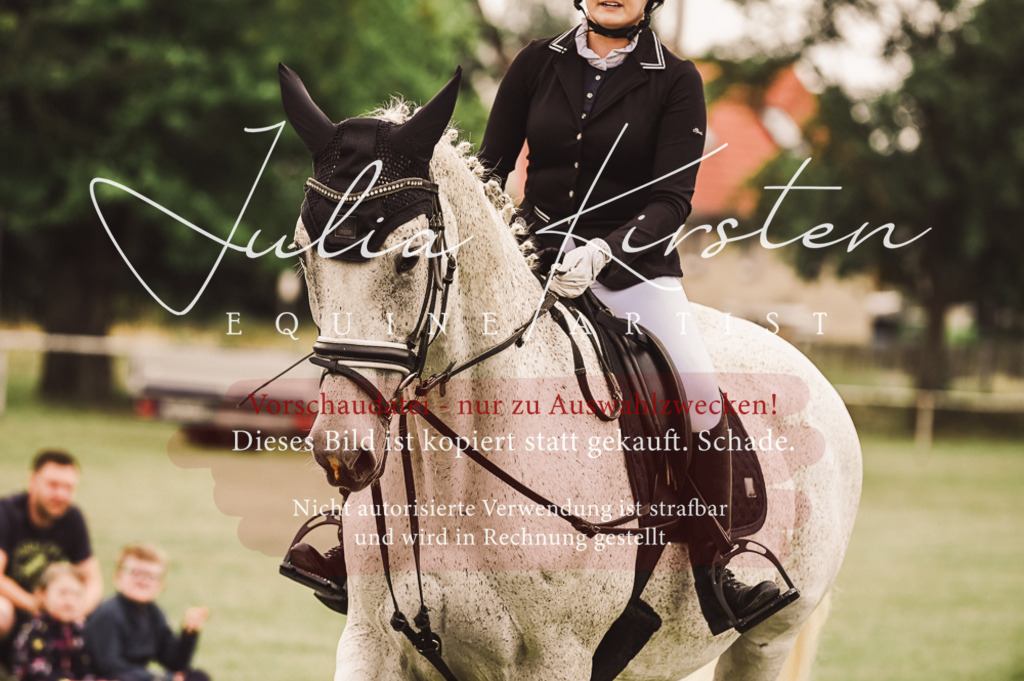 DSC_5006 | Pferde- und Turnierfotografie in Westsachsen. Pferdeportraits, Auftragszeichnungen und intuitive Kunst.