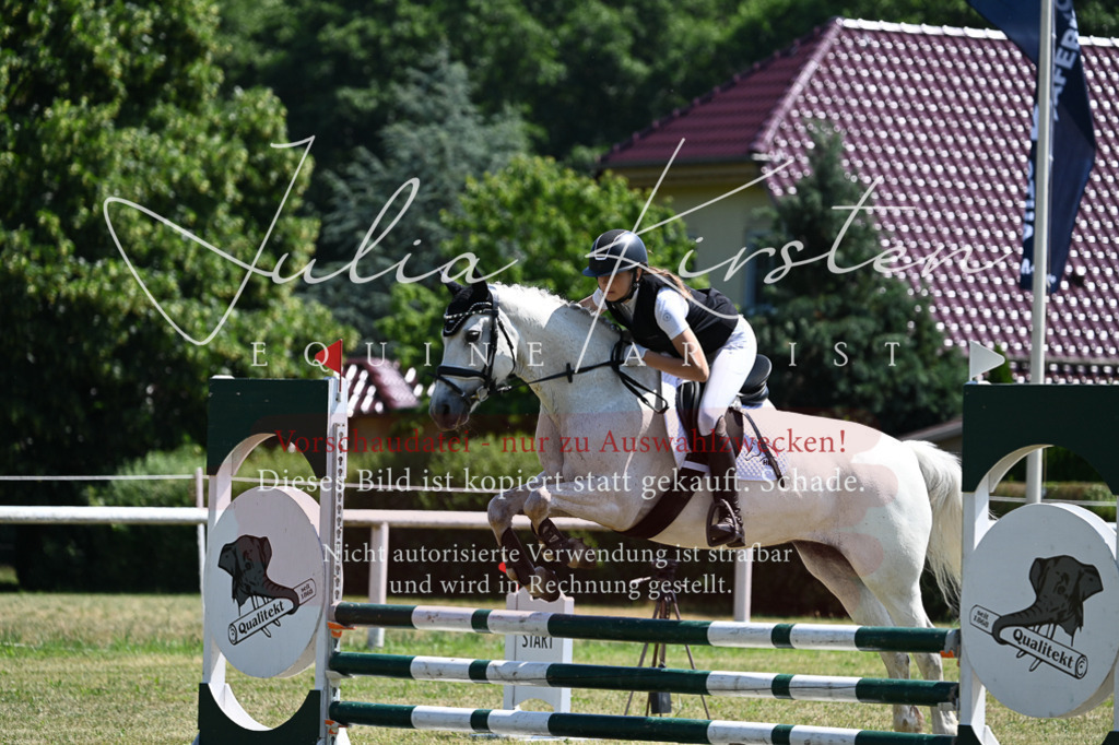 DSC_0838 | Pferde- und Turnierfotografie in Westsachsen. Pferdeportraits, Auftragszeichnungen und intuitive Kunst.