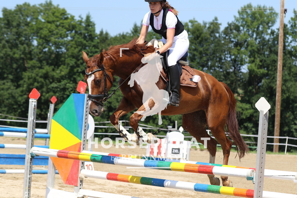 7V2A3397 | Willkommen bei Brunnmayr - Design & Fotografie – Ihrem Spezialisten für Reitturniere und Pferdeveranstaltungen in Oberösterreich, Salzburg und Bayern! Seit über 17 Jahren sind wir leidenschaftlich dabei.