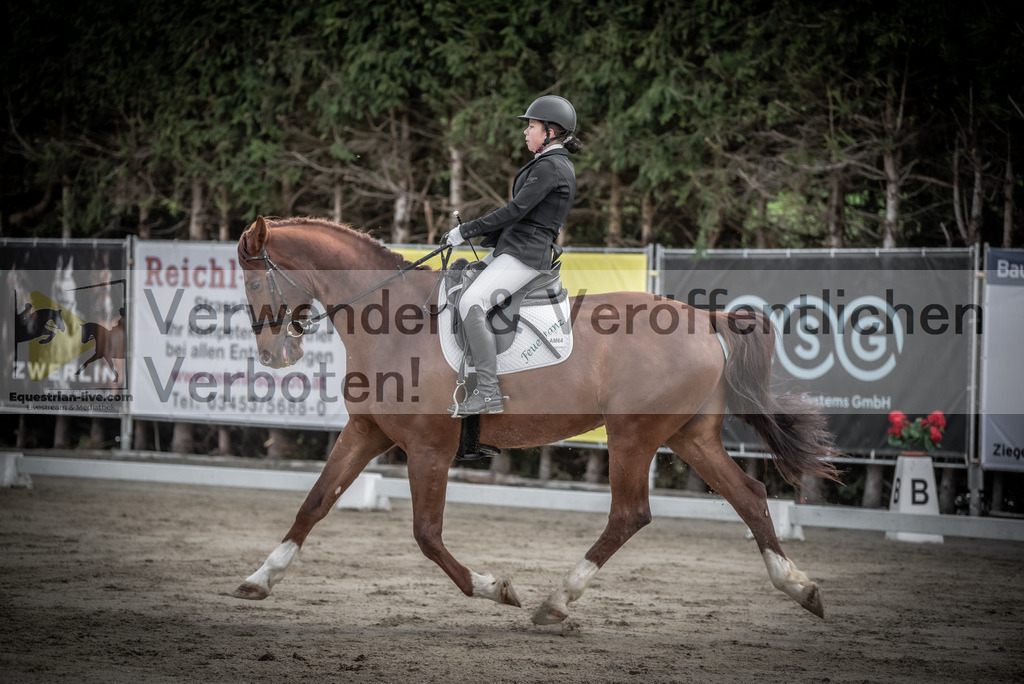 DSC_8902 | equestrian-live-com