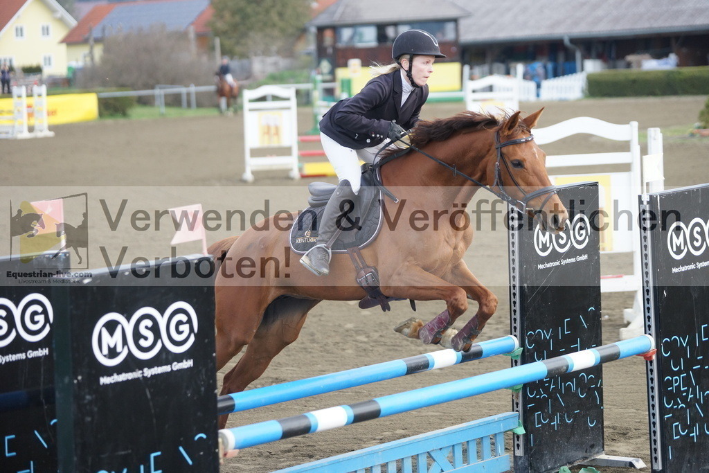DSC00443 | equestrian-live-com