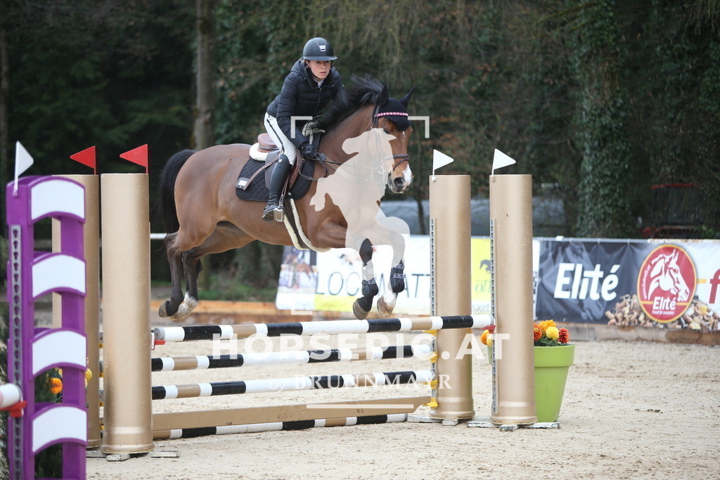 AS8V9411 | Willkommen bei Brunnmayr - Design & Fotografie – Ihrem Spezialisten für Reitturniere und Pferdeveranstaltungen in Oberösterreich, Salzburg und Bayern! Seit über 17 Jahren sind wir leidenschaftlich dabei.