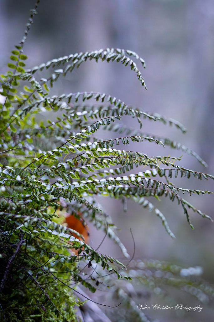 JBK 12 | Christian Vulin  - Realisiert mit Pictrs.com