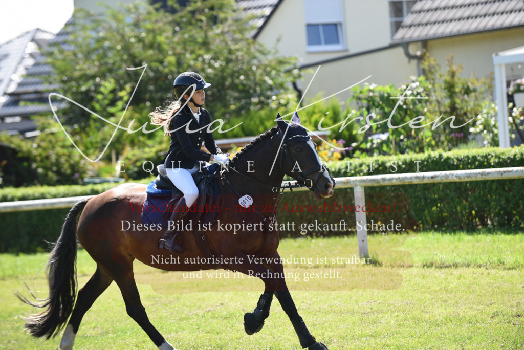 DSC_9597 | Pferde- und Turnierfotografie in Westsachsen. Pferdeportraits, Auftragszeichnungen und intuitive Kunst.