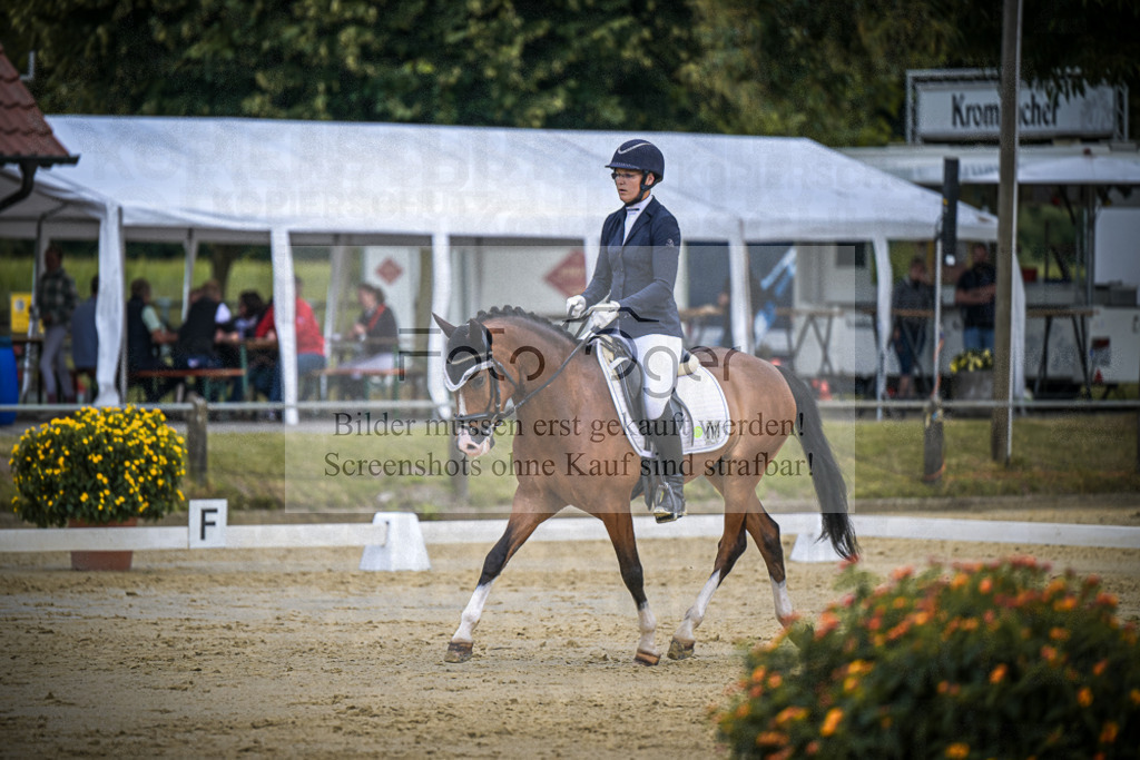 DOS_9685 | Entdecke hochwertige Reitturnierfotos von Foto Oger. Professionell, emotional und authentisch – jetzt Lieblingsmomente im Shop bestellen.Deutschlandweite Turnierfotografie. - Realisiert mit Pictrs.com