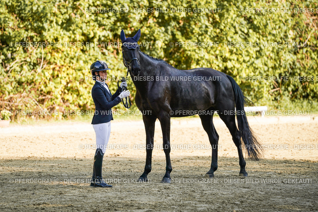 DSC06469 | Pferdegrafie