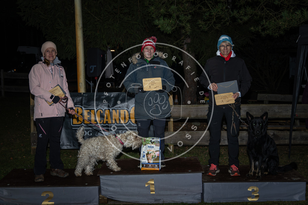 Pfotenfotografie_0L8A1954 | Hundefotografie, Tierfotograf, Pfotenfotografie, Fotoshooting Hund, Hunde Portrait, Hundesport, Hundeportraits, Heideshooting, Hunde, Sportfotograf, Hundefotograf, Turnierhundsport, THS,  - Realisiert mit Pictrs.com