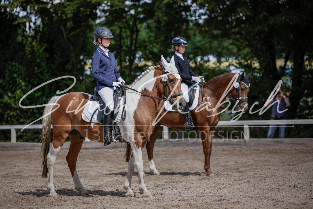20250906-_3LI5445 | Tierfotografie Pferde, Hunde, Katzen, Haustiere.
Turnierfotografie Reitturniere, Reiten, Springreiten, Dressur in Hanau, dem Main-Kinzig-Kreis und dem Rhein-Main- Gebiet um Frankfurt