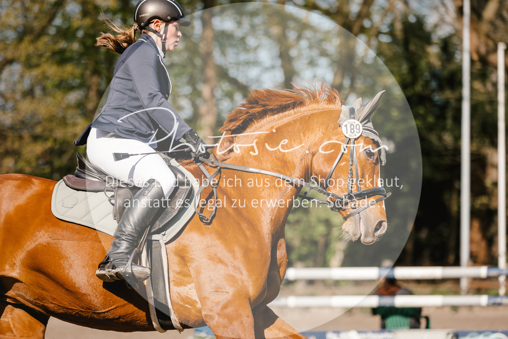 3I6A3722 | Stimmungsvolle Portraits und Reitsportfotografie im Ruhrgebiet und im Münsterland.

Pferdefotografie, Hundefotografie, Tierfotografie, Reportagen, Portraits von Tier und Mensch, Turnierfotografie in Bochum, Recklinghausen, Marl, Haltern am See, Dülmen.. - Realisiert mit Pictrs.com