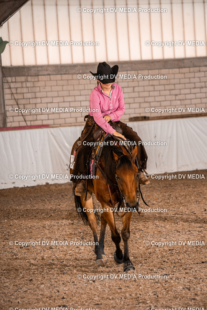 ZH300503 | dv-media-shop - Realisiert mit Pictrs.com