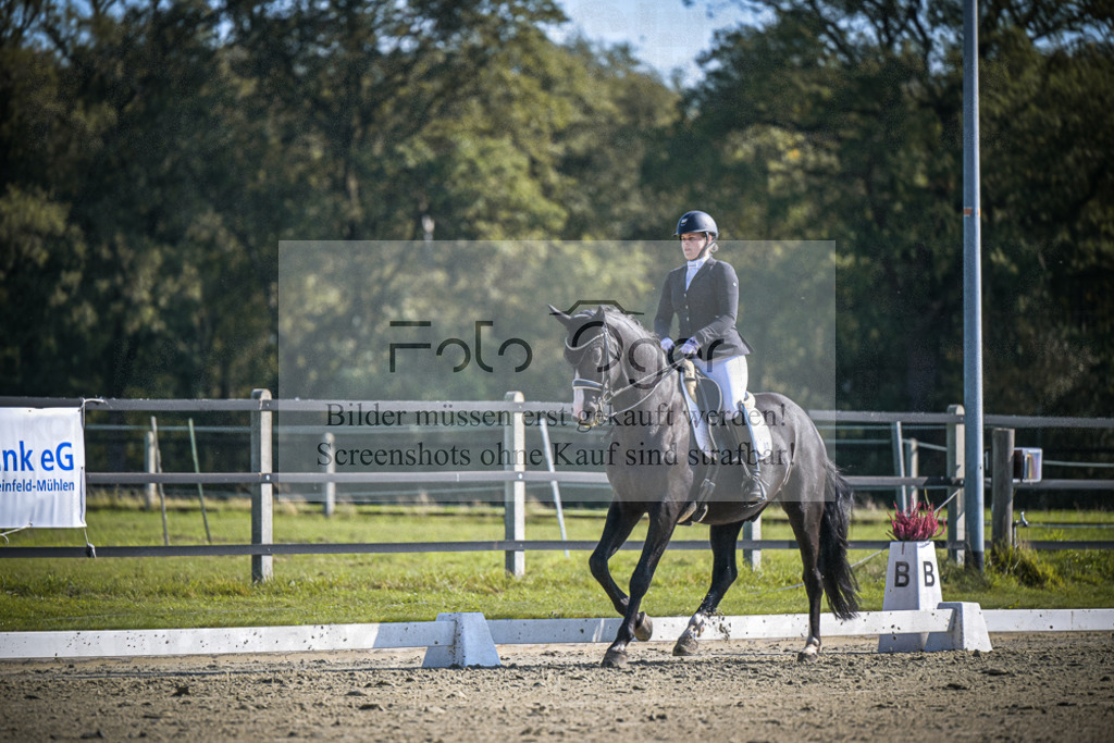 DOS_1978 | Entdecke hochwertige Reitturnierfotos von Foto Oger. Professionell, emotional und authentisch – jetzt Lieblingsmomente im Shop bestellen.Deutschlandweite Turnierfotografie. - Realisiert mit Pictrs.com