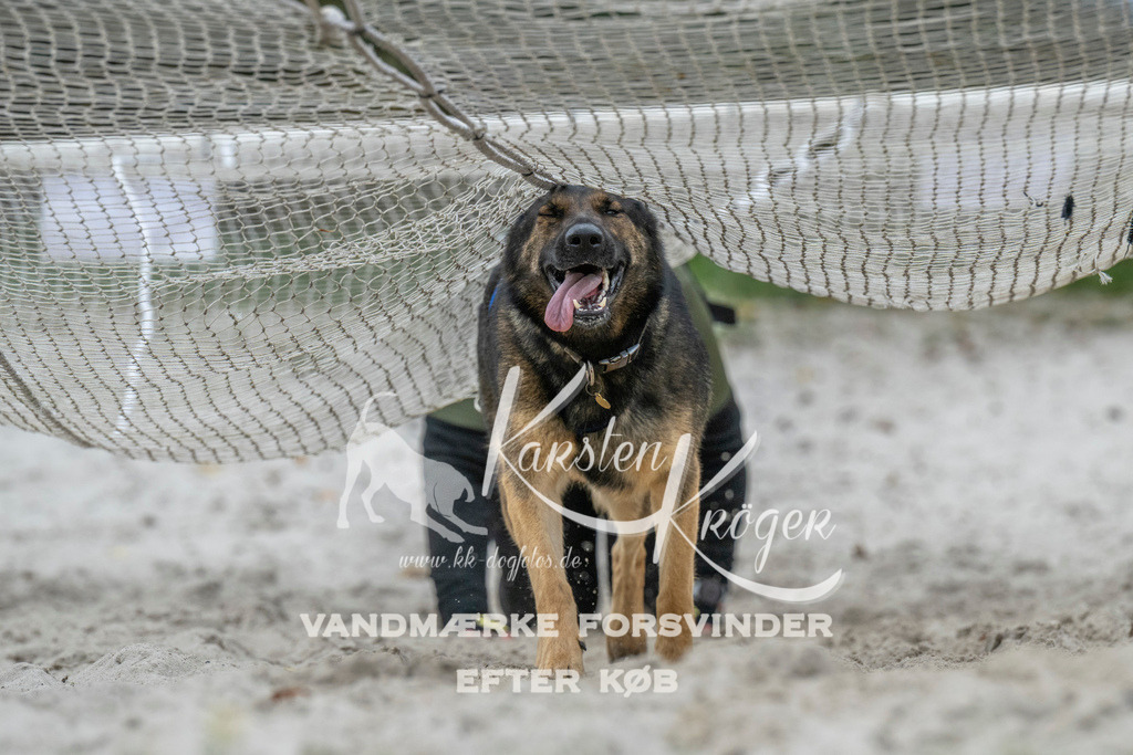 1020_ZZ93698 | kk-dogfotos