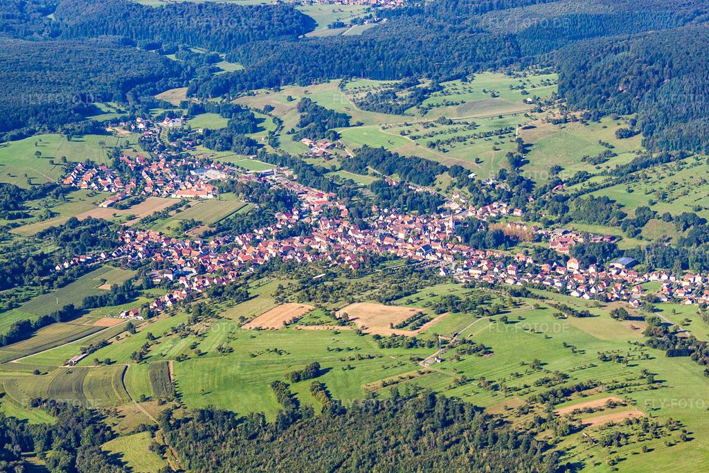 Luftbild: Ortsansicht in Wingen im Bundesland Bas-Rhin in Frankreich. Foto: IMG_31088.jpg vom 07.08.2010 durch Werner Riehm/FLY-FOTO.de