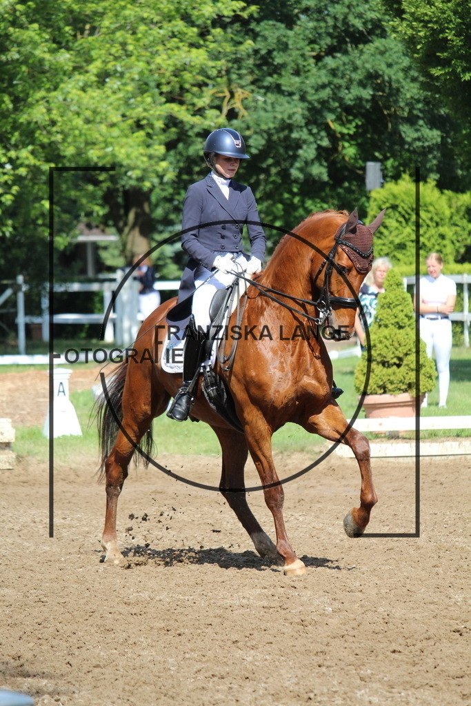 IMG_7079 | franziskalange - Realisiert mit Pictrs.com