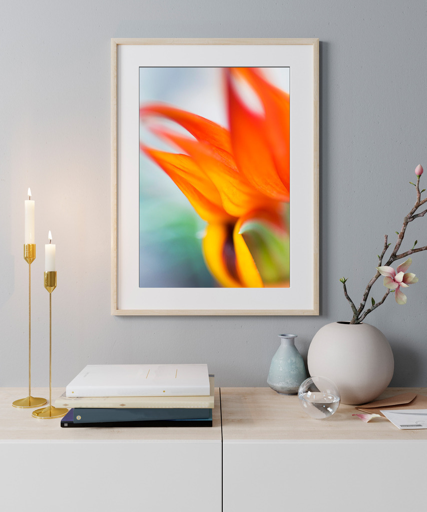 Abstraktes Makro-Portrait einer orangefarbenen Blüte des Kanarischen Hornklee  | Sie finden dieses Motiv in der Galerie Farben und Formen - Blütenpracht (https://shop.soulimages.eu/img/fyrewc). - Realisiert mit Pictrs.com