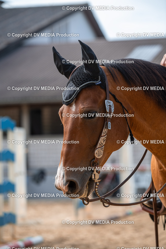 EWP_5719 | dv-media-shop - Realisiert mit Pictrs.com