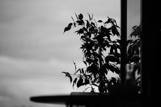 _DSF2428-Tabakfabrik | blende43